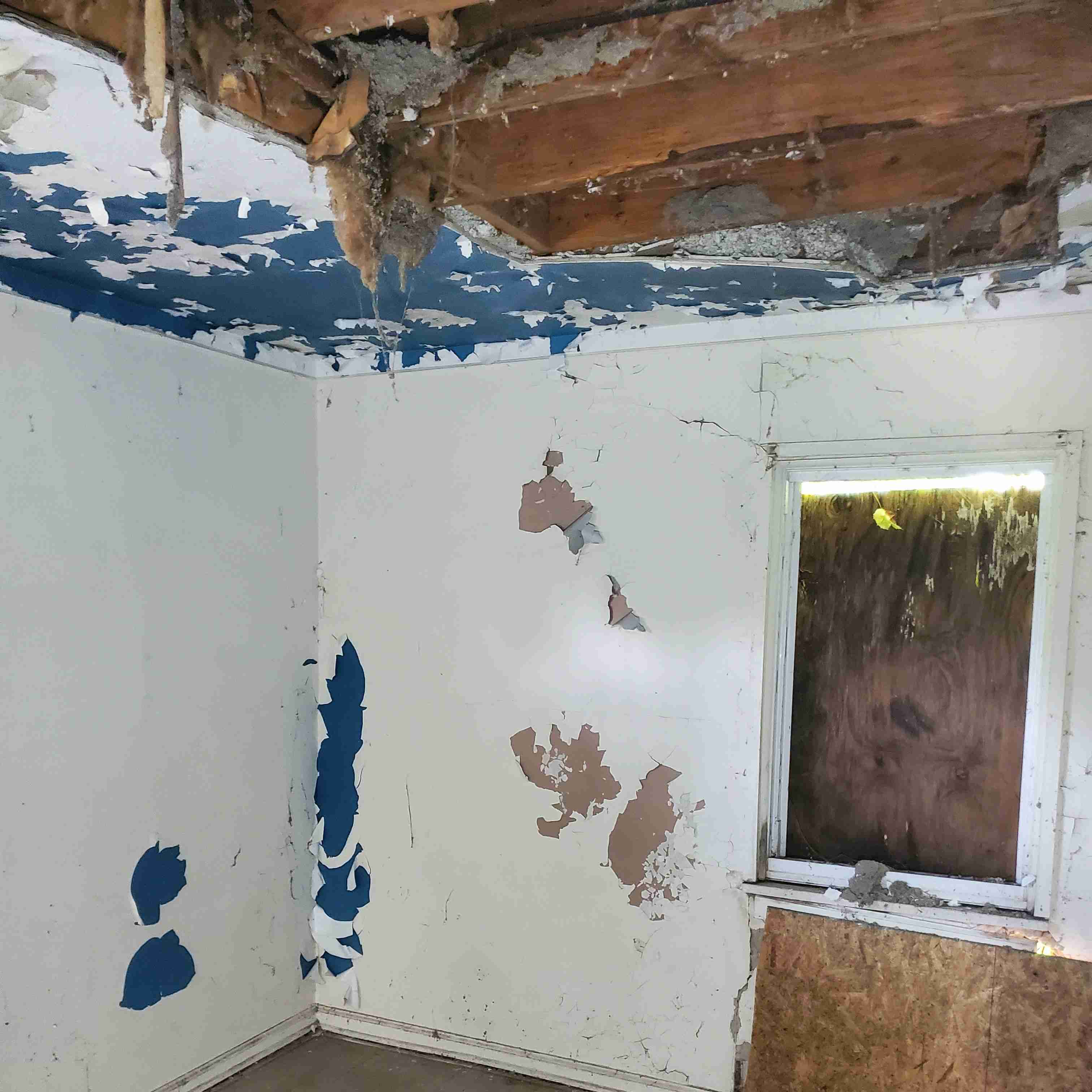 20200812_150927 (2).jpg